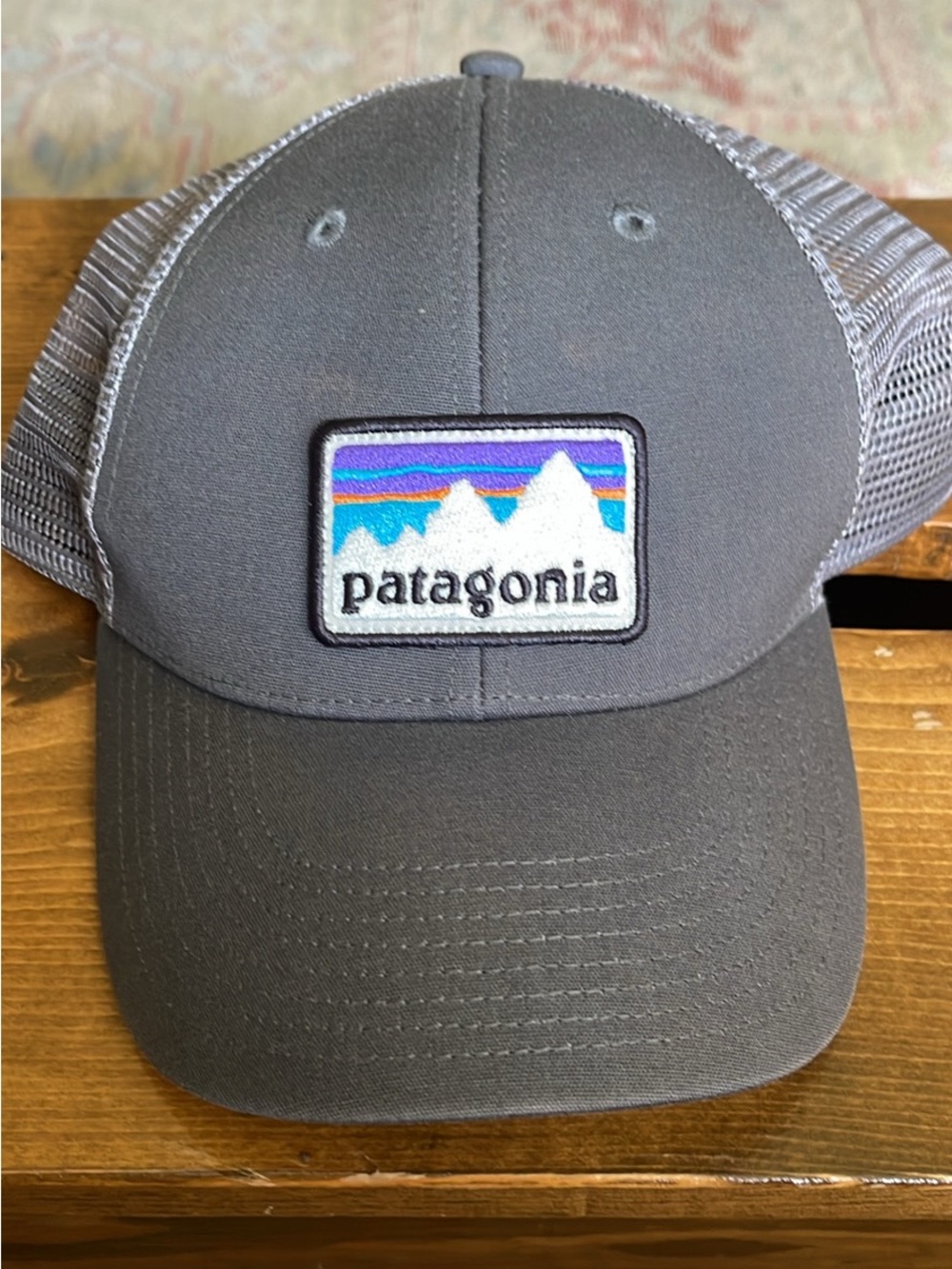 Patagonia Gray Trucker Hat with Multicolor Mountain Patch